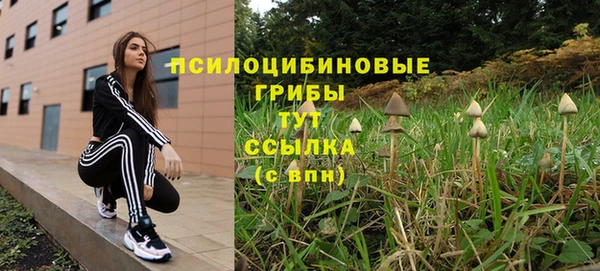 соль ск Волосово