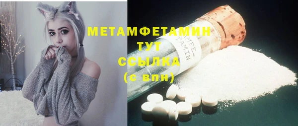 индика Вязники