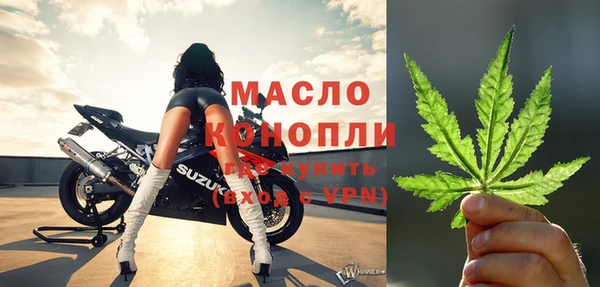 гидра Вязьма