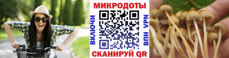 Псилоцибиновые грибы ЛСД Дно