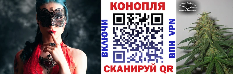 Конопля план Дно